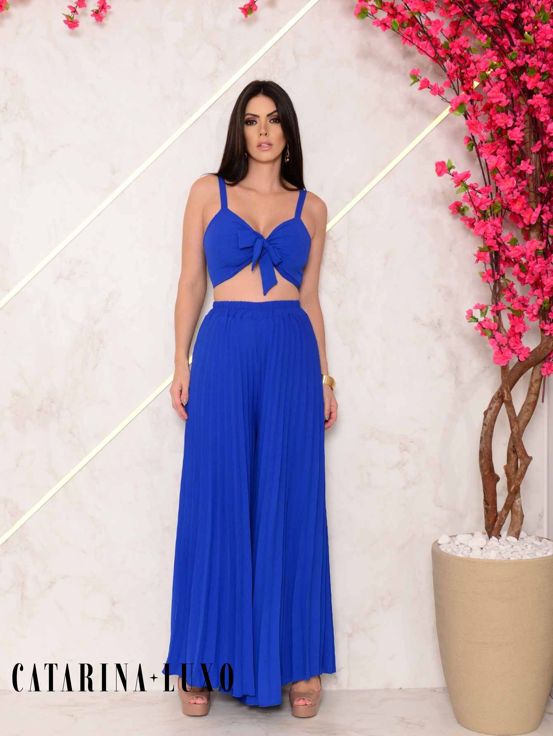 Conjunto Calça Pantalona Plissada E Cropped Top Maitê Conjuntos Femininos